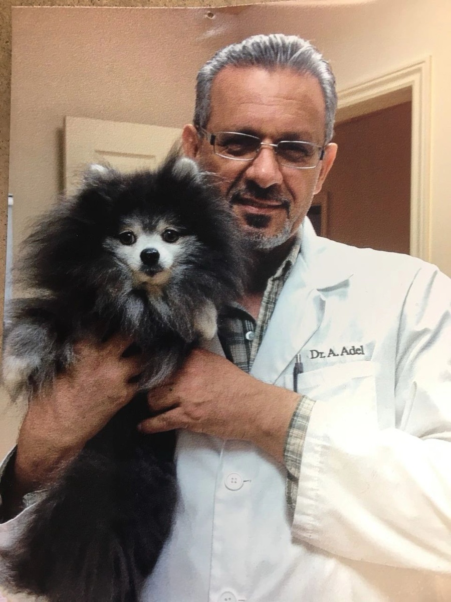 Dr. A. Adel in his white coat holding Meeko, a Pomeranian, at the clinic.